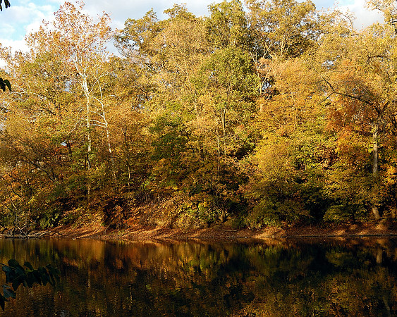 Olentangy River Wetlands Research Park