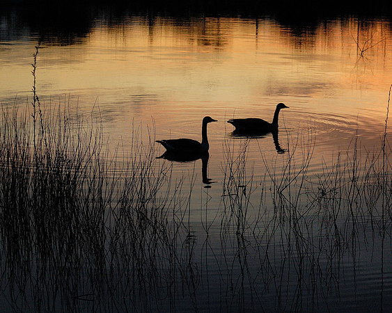 Sunset, Olentangy River Wetlands Research Park