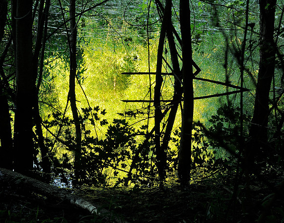 Oxbow Wetland, Olentangy River Wetland Research Park