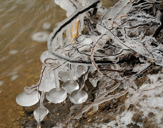 Ice Bells, Battelle Darby Creek Metro Park