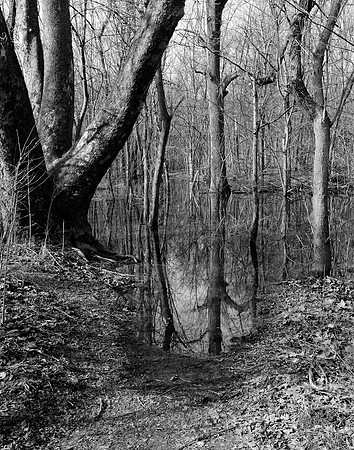 Flooded Trail, Prairie Oaks Metro Park