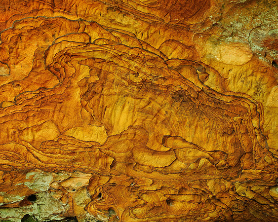 Rock Wall #2, Natural Bridge State Park, KY