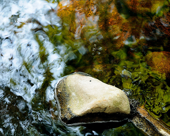 Reflection, Tobyhanna State Park, PA