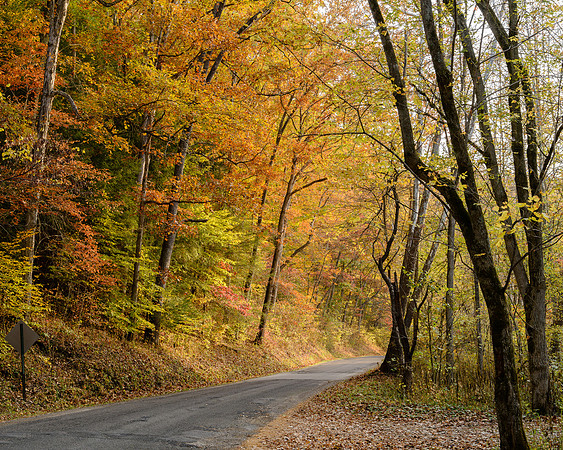 Autumn Morning, Clear Creek Metro Park