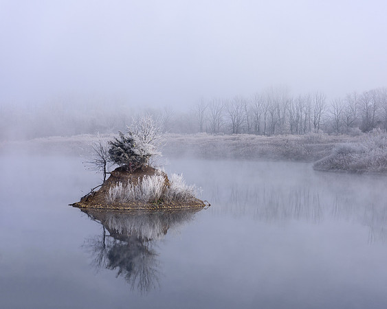 Hoar Frost, Prairie Oaks Metro Park, Madison County, Ohio