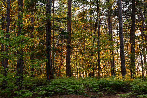 Twelvemile Beach Campground, Pictured Rocks National Lakeshore