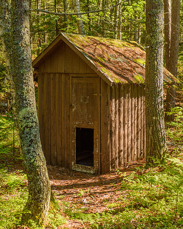 Along the North Country Trail, Pictured Rocks National Lakeshore