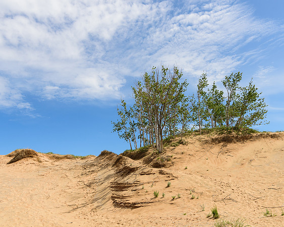 Trail, Sleeping Bear Dunes National Lakeshore, Michigan