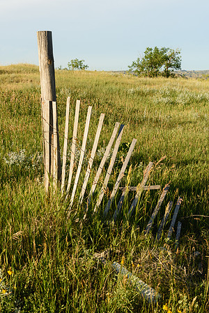 Fallen Fence, Little Missouri State Park, North Dakota