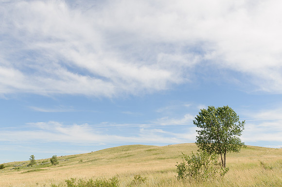 High Plains, Theodore Roosevelt National Park, North Dakota