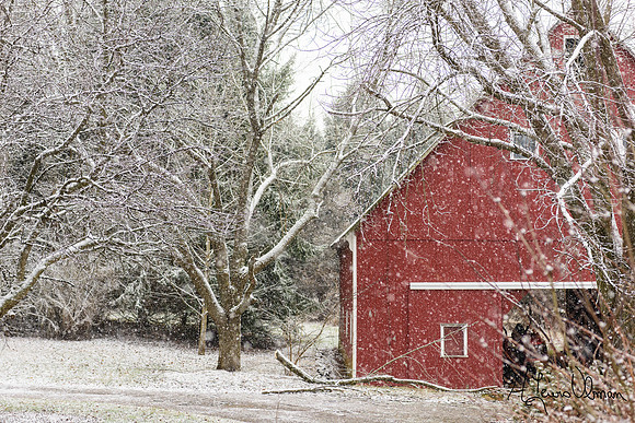 Snowstorm, Ridgeview Farm