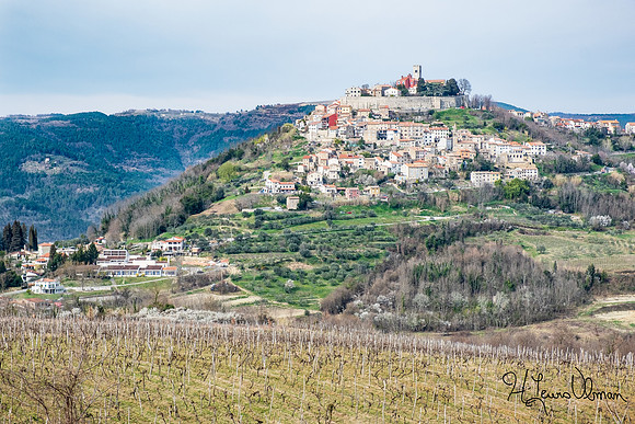 Motovun, Croatia
